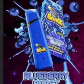 Burst Blueberry Disposable