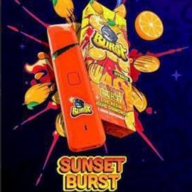 Burst Sunset Disposable